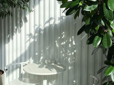 Interior plants in a wellness center corner.
